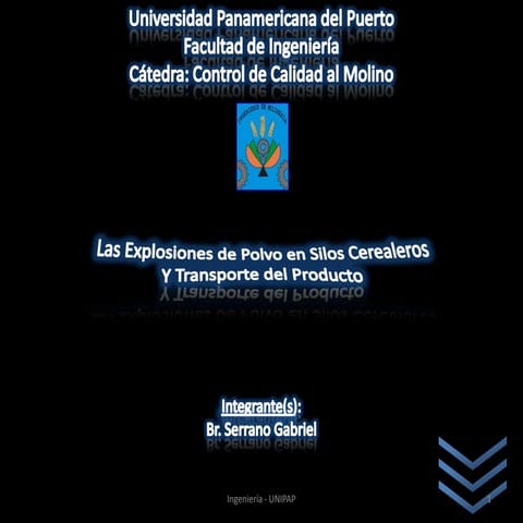 Las explosiones de polvo en Silos Cerealeros y Transporte de Producto