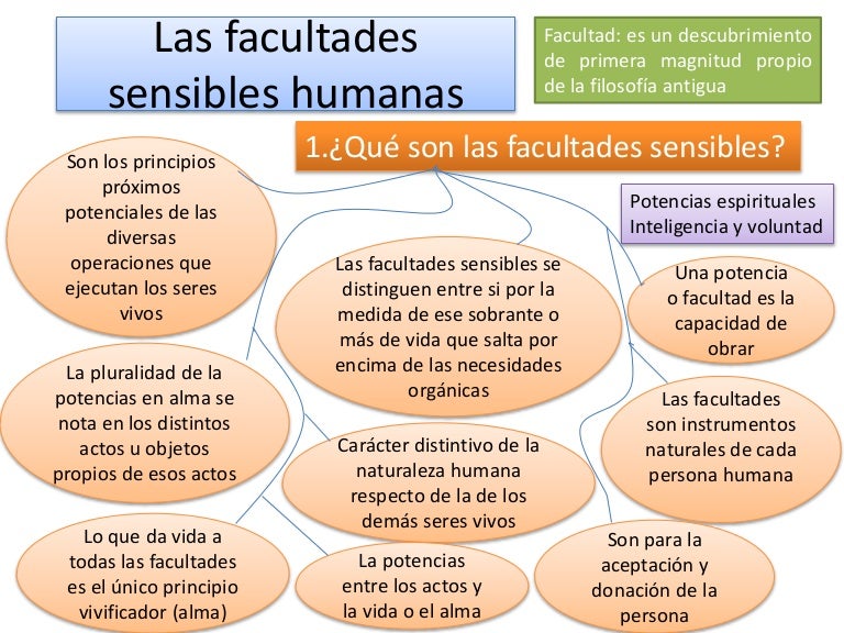 Que Son Las Facultades Del Ser Humano