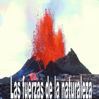 Las fuerzas de la naturaleza