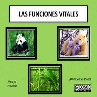 Las funciones vitales