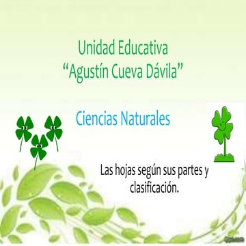 Las hojas   partes y clasificación