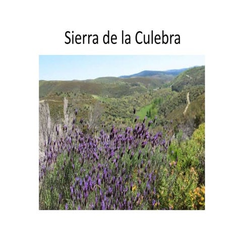 La sierra de la culebra PPT