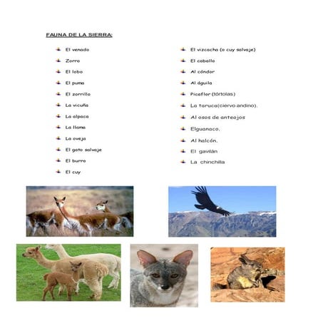 La sierra fauna, flora, costumbres