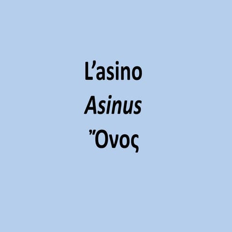 L'asino | PPT