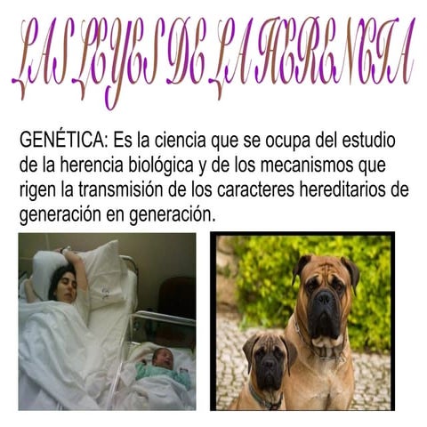 Las leyes de la herencia