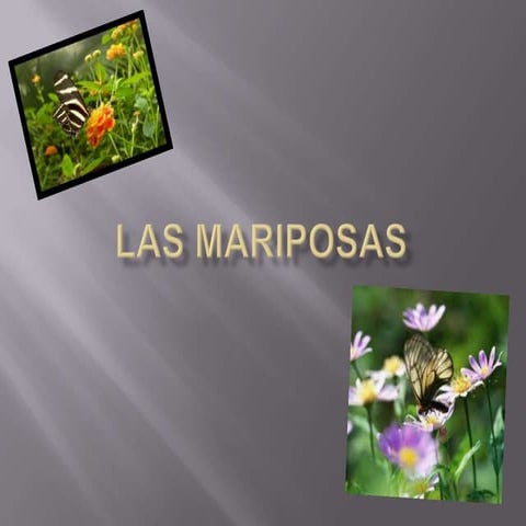Las mariposas