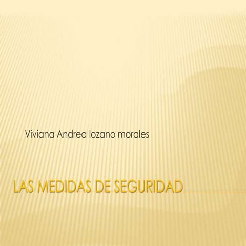 Las medidas de seguridad