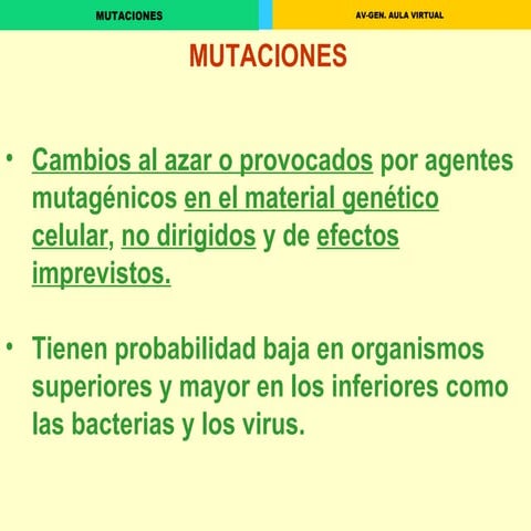 Las Mutaciones