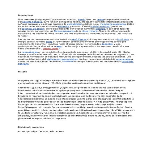 Las neuronas.docx