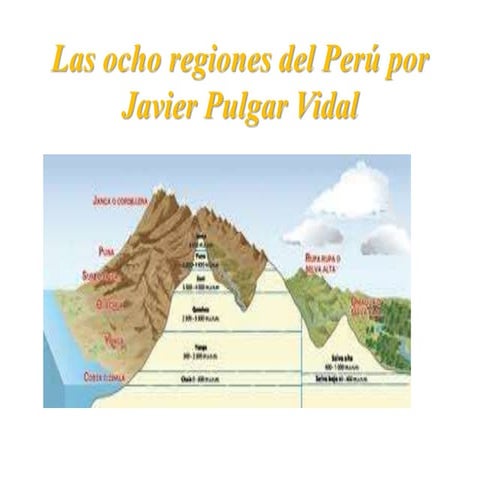 Las ocho regiones del perú por javier pulgar