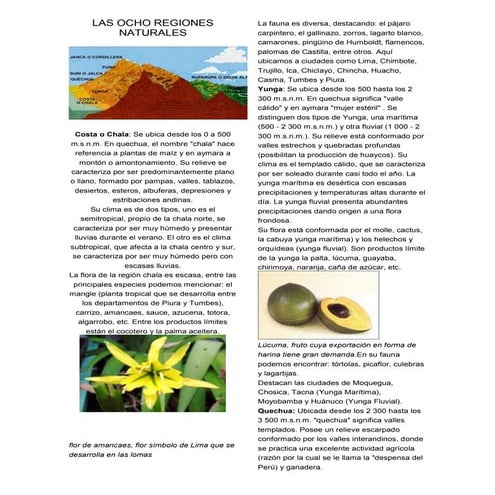 Las ocho regiones naturales