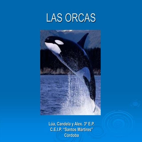 Las orcas | PPT