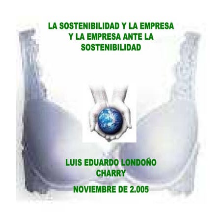 La sostenibilidad y la empresa