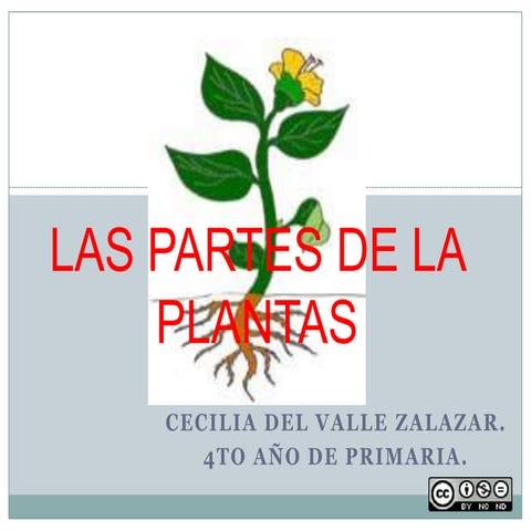 Las partes de la plantas. para alumnos de 3º grado de primaria