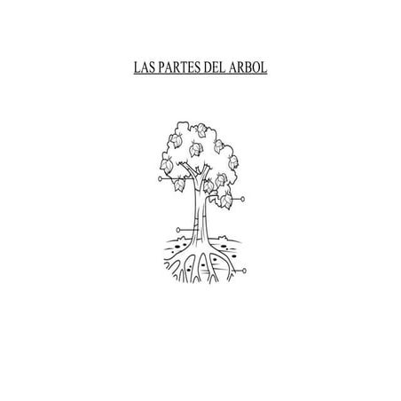 LAS PARTES DEL ARBOL