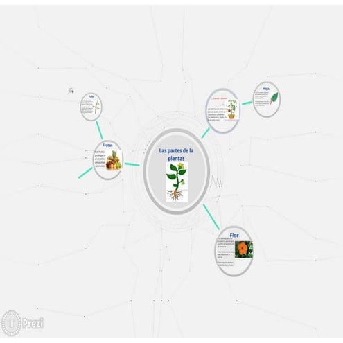 Las partes de las plantas