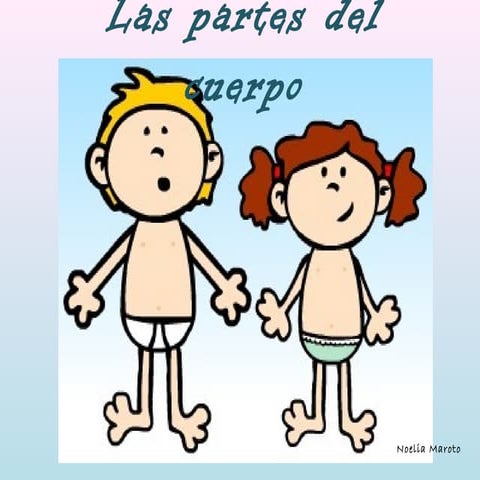 Las partes del cuerpo