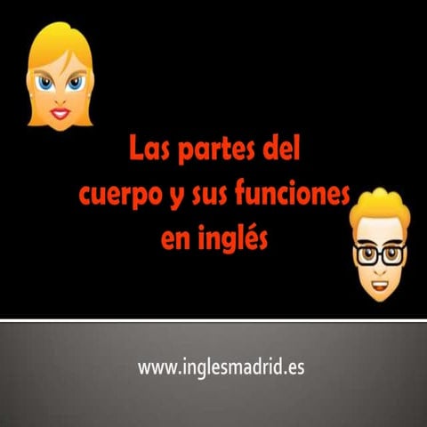Las partes del cuerpo y sus funciones