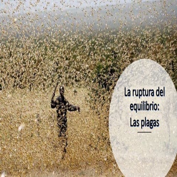 Las plagas