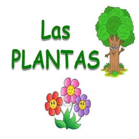 Las plantas