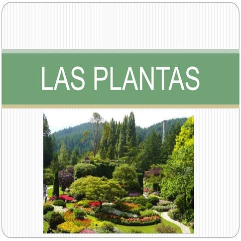 Las plantas. Partes.Clasificación