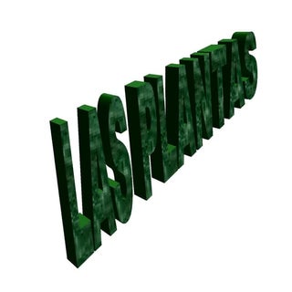 Las plantas de Lucas