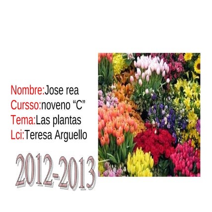 Las plantas joserea