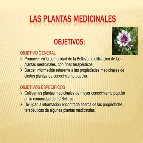 proyecto educativo plantas medicinales