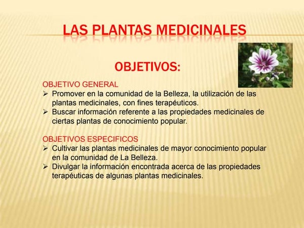 proyecto educativo plantas medicinales