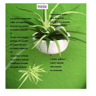 Las plantas ornamentales 