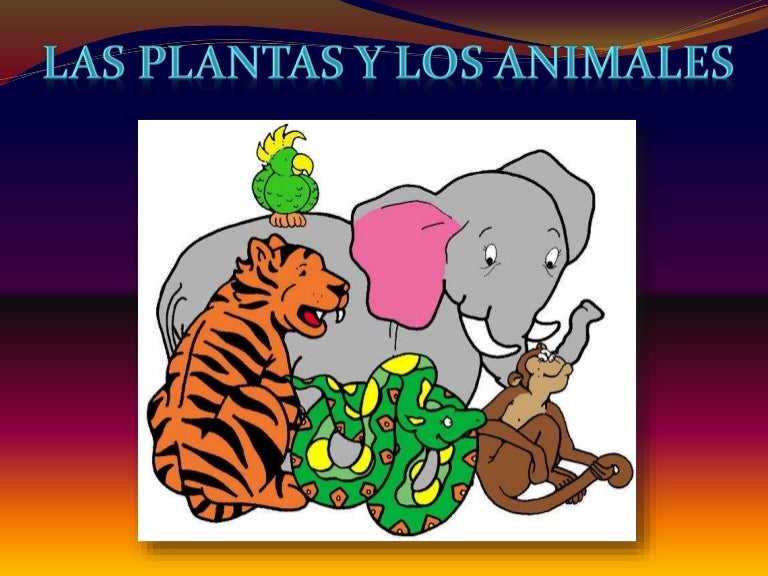 Las plantas y los animales