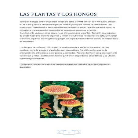 Las plantas y los hongos