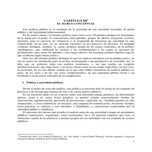Las políticas públicas cap iii - el marco conceptual | PDF