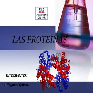 Las proteinas fundamentos nivel 1