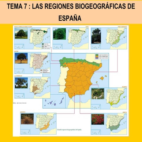 Presentación Tema 7: Las regiones biogeográficas de España 