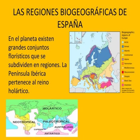Las regiones biogeográficas de España