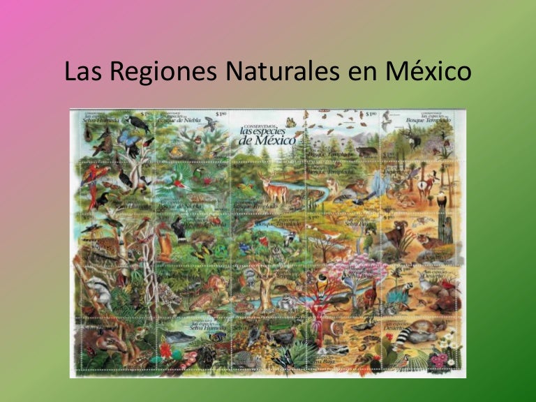 Las regiones naturales