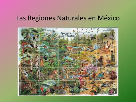 Regiones Naturales De Mexico Cuáles Son Las REGIONES NATURALES De