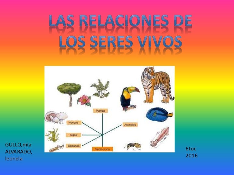 Las relaciones de los seres vivos mia gullo leonela