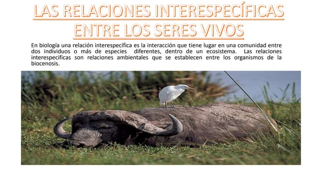 Las relaciones interespecíficas ent...