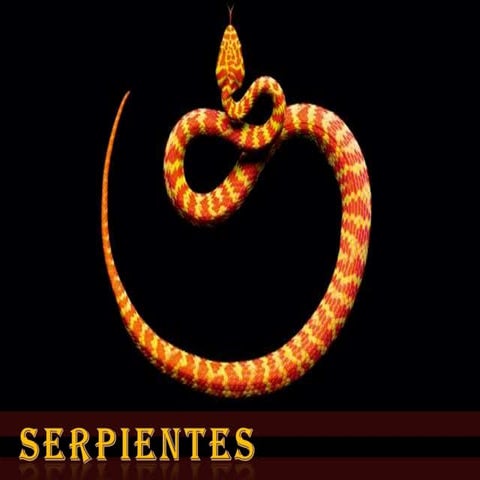 Las serpientes 