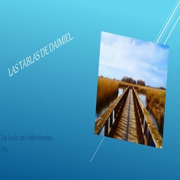 Las tablas de daimiel
