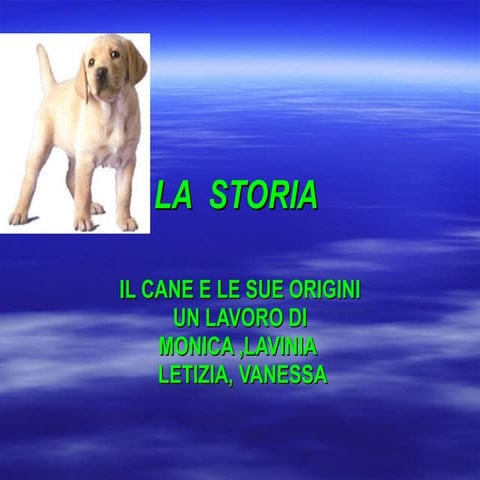 La  storia del cane