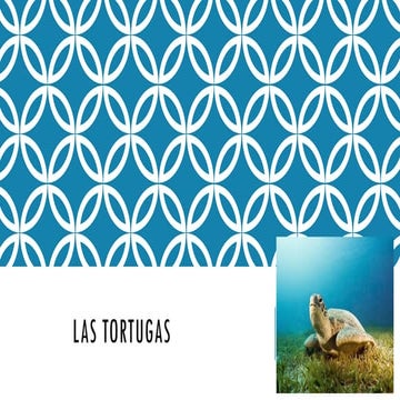 Las tortugas diapositiva informacion.pptx