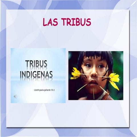 Las tribus