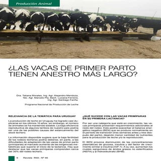 ¿LAS VACAS DE PRIMER PARTO TIENEN A...