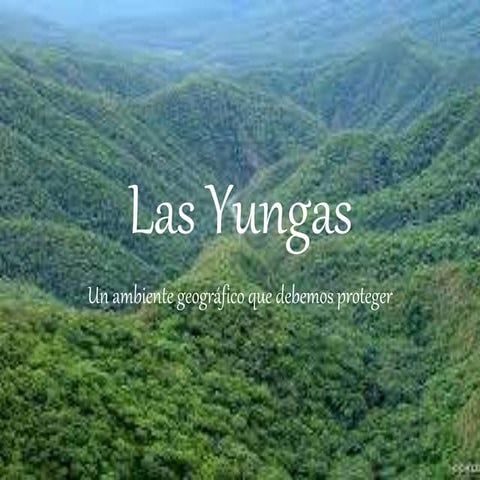 Las yungas