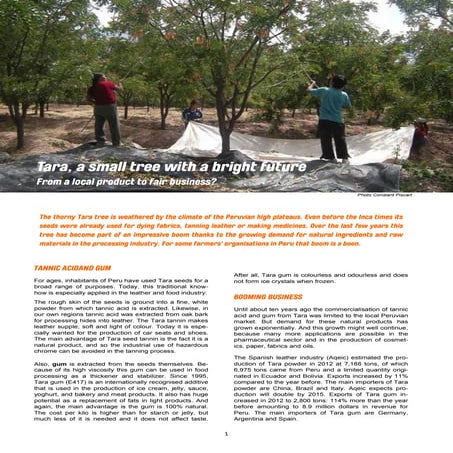 Tara, a small tree with a big future