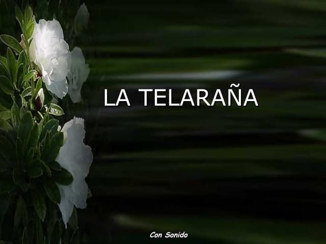 Latelara ..