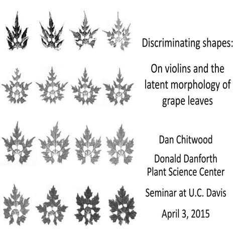 Discriminating shapes: on violins & the latent morphology of grape leaves